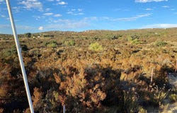 Forest Gate Road, Campo, CA 91906