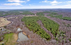 Morgan Co Hwy, Sunbright, TN 37872