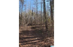 821 SUNSHINE AVENUE lot: 0, ONEONTA, AL 35121