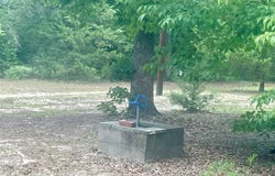 976 E Water Tower Road, Big Sandy, TX 75755