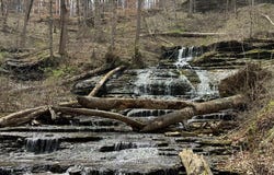 335 Nelson Cemetery Rd, Monroe, TN 38573