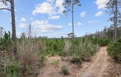 9422 FM 62, TX 75939