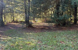 TIERNAN Rd, Mapleton, OR 97453