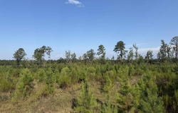 Nevada 124, Rosston, AR 71858
