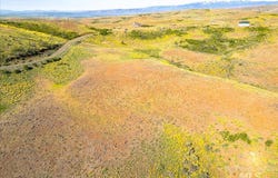 L15 Cuddy View Drive, Council, ID 83612