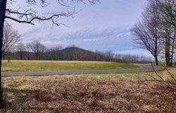 223 May Apple Way, Landrum, SC 29356