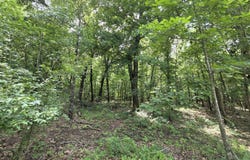 Golf Course Road, Marshfield, MO 65706