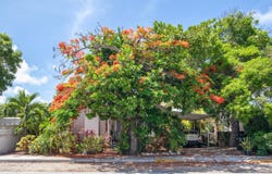 3712 Duck Avenue, Key West, FL 33040
