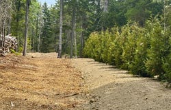 93 Goods Point Road, Steuben, ME 04680