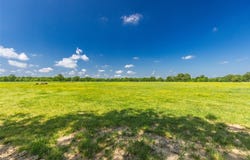 300 County Road 3636, Dike, TX 75437