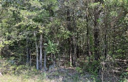 Fairview Drive lot: 0, Harrison, AR 72601
