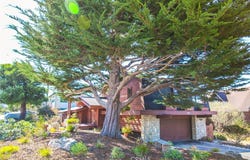492 Dorset Street, Cambria, CA 93428