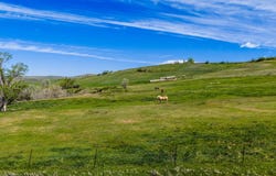 Beaver Creek Road, Sheridan, WY 82801