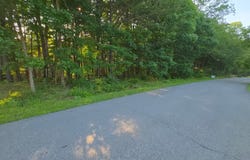 Shady Forest Rd lot: 16-19, Max Meadows, VA 24360