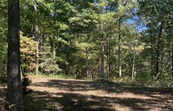 Branch Road, Fulton, MO 65251