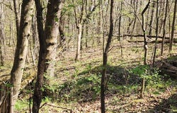 Id03 Highlander Rd, CAMDEN, TN 38320