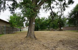 704 E 6th Street, Bonham, TX 75418