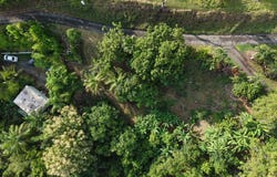Rincon, Rincon, PR 00677