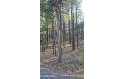 1035,1037 Timbernook Crossing, Williams, AZ 86046