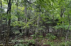 44 Dore Hill Road, Athens, ME 04912