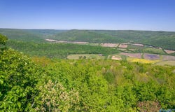 4400 County Road 39, Fackler, AL 35752