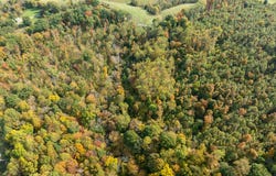 Tract C-1 Angel Ridge Road, Kings Mountain, KY 40442