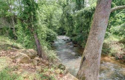 7304 DRY RUN RD, BURNSVILLE, VA 24487