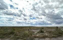 1850 Rabbit Rd, Marfa, TX 79843