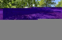 438 Little Dogwood Lake Road, Burfordville, MO 63739