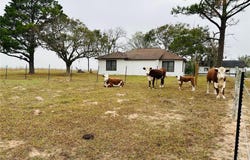 1696 E Fm 884, Yorktown, TX 78164