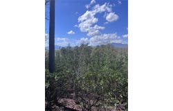 High Pines Loop, Lake Lure, NC 28746