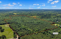 TBD CR 3361, DeBerry, TX 75639