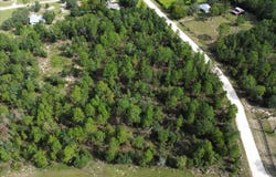 NE 132ND Court, WILLISTON, FL 32696