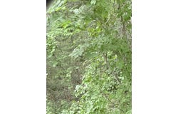 00 Walker Road, Lamoine, ME 04605