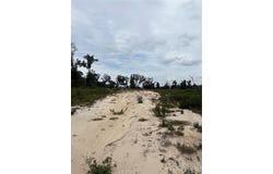 7200 E HIGHWAY 25, BELLEVIEW, FL 34420