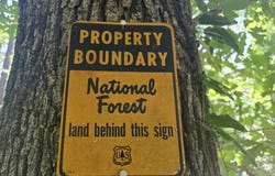 Scrd 538e, Morton, MS 39117