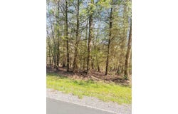 411 RIVERGLADE DR, SHADY SPRING, WV 25918