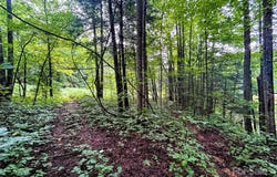 Azalea Way lot: 6, Saluda, NC 28773