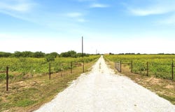 FM 187, Sabinal, TX 78881