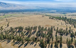 Round Top Bluff, Florence, MT 59833