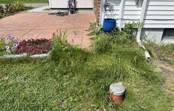772 River Rd, Edwards, NY 13635-3102
