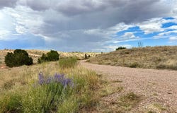 12 E Pine Extension, Santa Fe, NM 87508