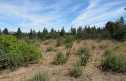 Ranch Road, Chiloquin, OR 97624