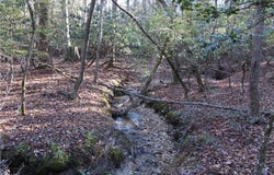 468 Sylvan Road, Thurmond, NC 28683