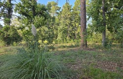 2189 FM 252, Jasper, TX 75951