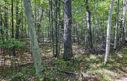 15 W Rapids Road, Tomahawk, WI 54539
