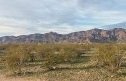 3384 S Zircon Road, Golden Valley, AZ 86413