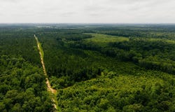 Brand Road, Newton, MS 39345