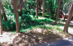 590 Electra Drive, Crestline, CA 92325