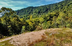 2774 Stanley Creek Rd, Oneida, TN 37841